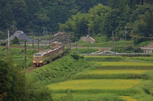 伯備線の夏の峠道を下って行く285系特急「サンライズ出雲」(上石見~下石見信)
