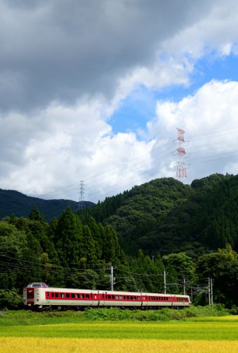 伯備線の実りの水田風景を駆け抜ける381系特急「やくも」(根雨~黒坂)