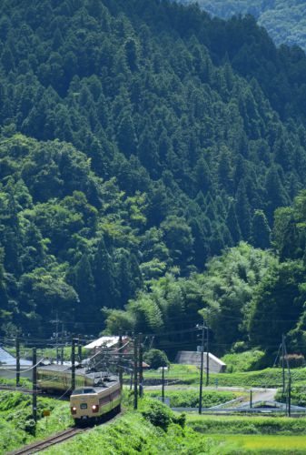 伯備線の夏の峠道を行く国鉄色381系特急「いずも」(上石見~下石見信)