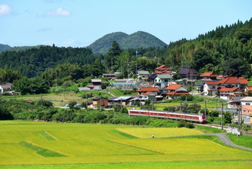 伯備線の黄金色の稲のカーペットの中の風景を行く381系特急「やくも」とEF64牽引のコンテナ貨物(上石見~下石見信)