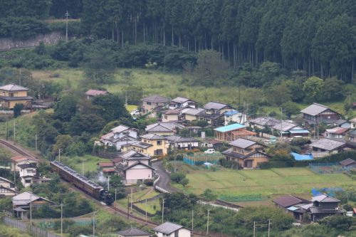 今年は稲穂がない棚田　- 2022年初秋・秩父鉄道　-