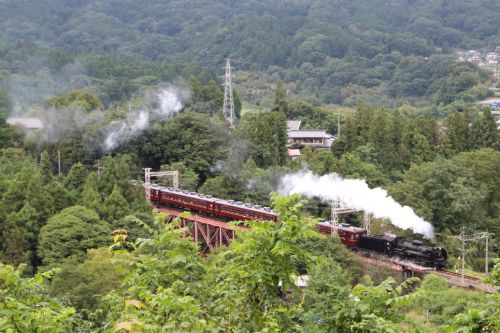 緑に埋もれる鉄橋にも小さな白煙 - 2022年初秋・秩父鉄道 -