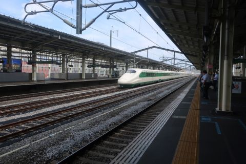 2022年夏大人の休日俱楽部パスの旅(熊谷駅11番線)