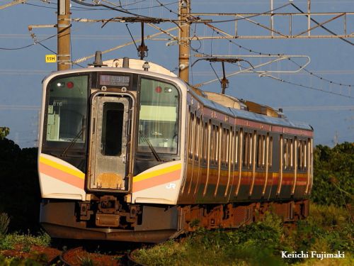 2662Ⅿ豊栄~柏崎のロングラン運用 115系旧156Ⅿを引き継ぐ列車
