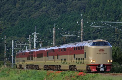 伯備線の秋の水田風景と彼岸花を行く285系特急「サンライズ出雲」他(根雨~黒坂)