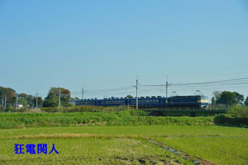 東北本線 臨時急行列車幻走