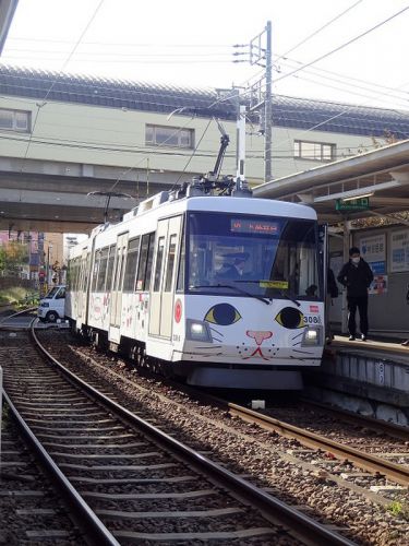 久しぶりの東急世田谷線 308F 玉電110周年 「幸運の招き猫電車」