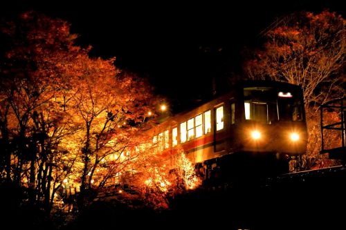 今年最後のライトアップ!叡山電鉄