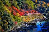 '17晩秋の鉄道風景撮影記