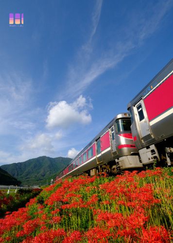 特急列車