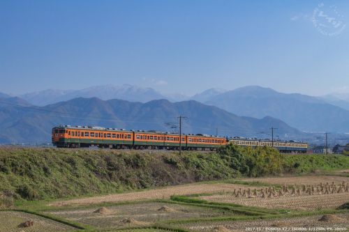 しなの鉄道 115系S3+S16編成 115フェスタ号 北しなの線(豊野-黒姫)
