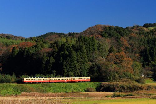 晩秋の小湊鉄道