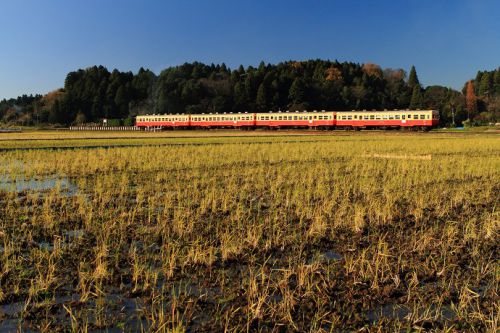 晩秋の小湊鉄道 2