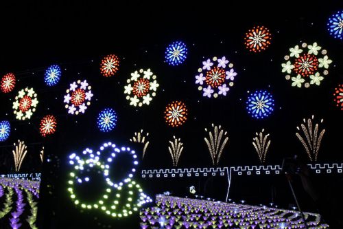 あしかがフラワーパーク 全国第1位 400万球のイルミネーション JR両毛線駅から徒歩アクセス