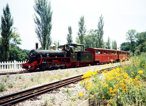 虹の郷の ロムニー鉄道 1993.6.12