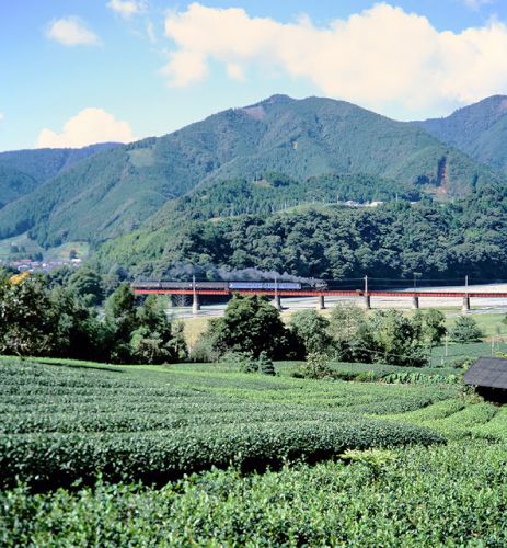 復活SL 大井川鉄道の C5644 と C11312 1993.10.9~10