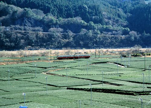 復活SL 1月の大井川鉄道 1994.1.15~16