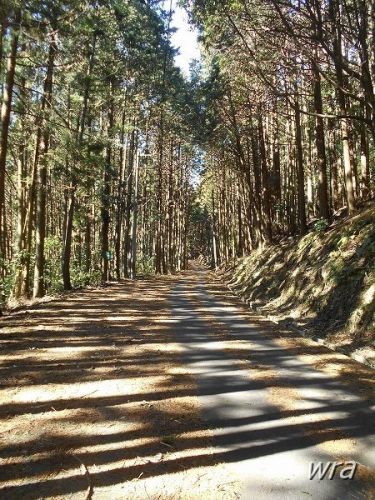 山中に眠る廃駅「旧東青山駅」をめぐる (前編)