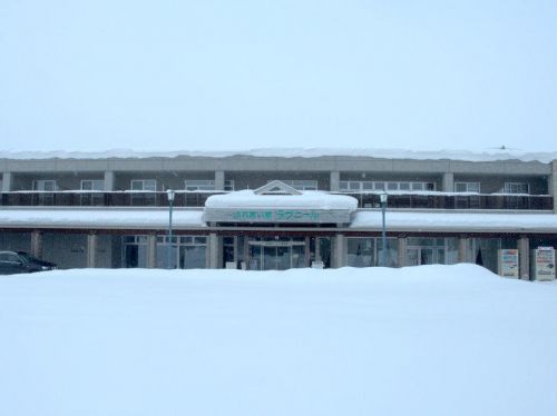 JR美瑛駅より徒歩3分!「ホテル ラヴニール」でくつろぐ美瑛の旅