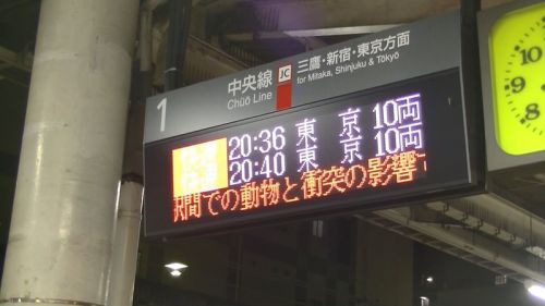 電光掲示板に見る電車遅延・運休の理由 その1 English subtitles 中文字幕 한국어 자막