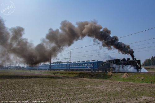 JR西日本 C56-160 SL北びわこ1号 北陸本線(米原-木ノ本)