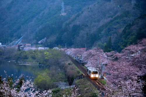 ありがとうＪＲ三江線、さよならＪＲ三江線、さよなら桜のＪＲ潮駅（潮駅）