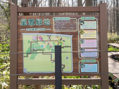 春はミズバショウ、エゾノリュウキンカ...JR星置駅から歩いて行けるオアシス「星置緑地」