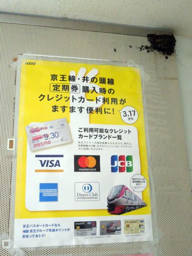つばめ(燕)の駅:13時38分。 巣作り中。