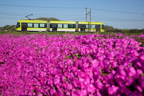 ONE-shot 288 花咲く電車みち