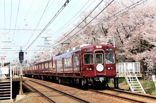 桜並木と阪急西向日
