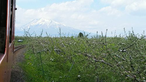 弘前から、岩木山望むリンゴ畑の中を行くローカル線・五能線の旅へ【鉄道で巡る春の弘前&白神山地②】
