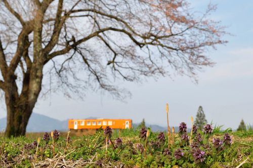 秋田内陸縦貫鉄道