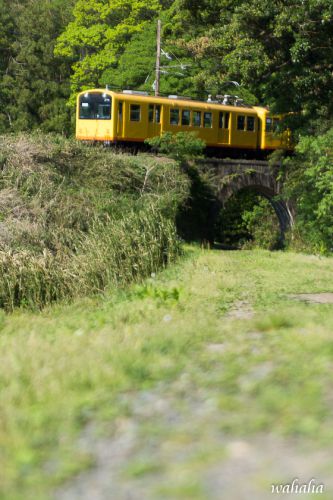 初めての三岐鉄道④