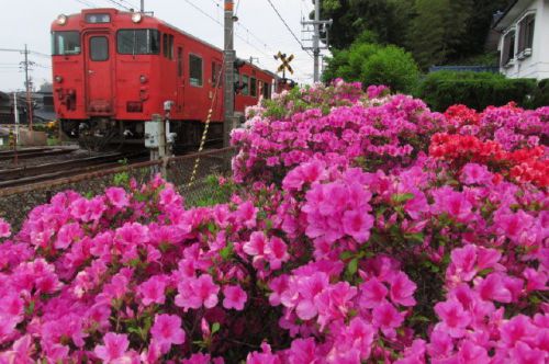 乗り鉄活動 白鳥で日本海側を南下 1990-05-05