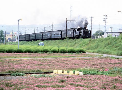 復活SL GW 3本運転の 大井川鉄道 1996.5.4