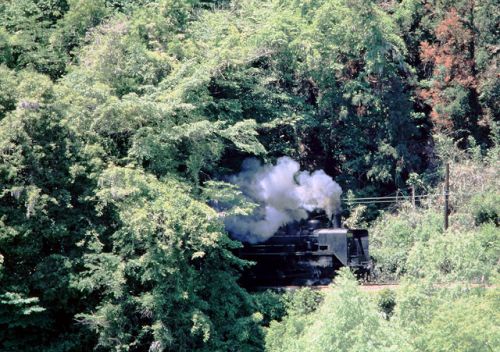 復活SL 2日目の 大井川鉄道 1996.5.5
