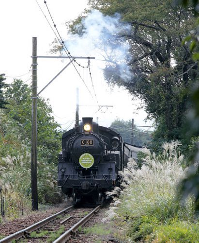 2013年秋の 大井川鉄道(その1) 2013.11.5