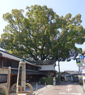 コンターサークル地図の旅-高野街道と南海高野線旧線跡