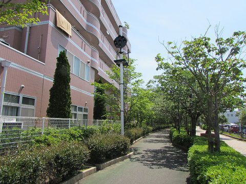 鉄道の信号機がそのまま残る?旧小松島線の廃線跡。 【2016年05月 徳島県小松島市】