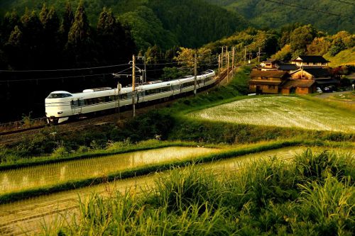 水田の輝きと特急「きのさき」
