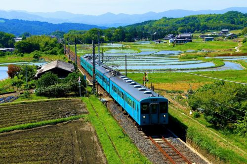 水田風景と105系電車!