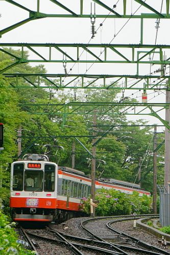 6月15日 箱根登山鉄道 紫陽花めぐり