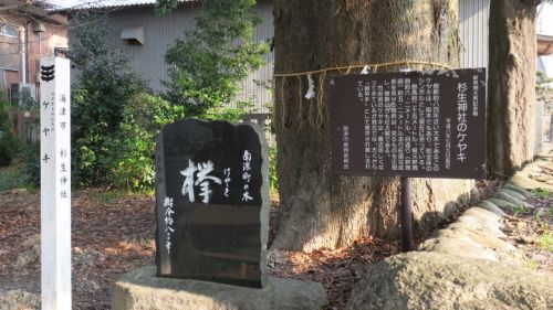 踏切の風景 養老鉄道・養老線「踏切道石津第二号」~参道を横切る復刻ラビットカー~