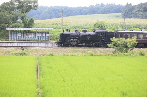 緑に包まれる小さな駅