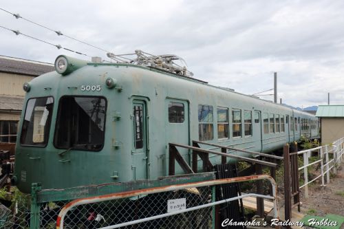 《鉄道写真》新村のアオガエル、最近の様子