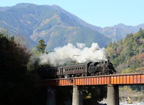 晩秋の大井川鉄道(その2) 2015.11.30