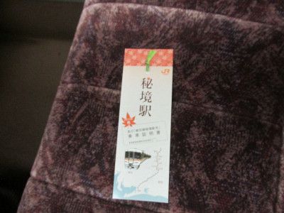 2015年 急行「飯田線秘境駅」号 その9