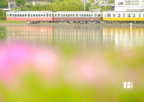 レトロ電車が行く