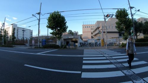 【4K】南北線 西ヶ原駅に潜ってみた Nishigahara station Namboku Line