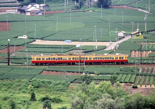 復活SL 再び5月の 大井川鉄道 1998.5.23